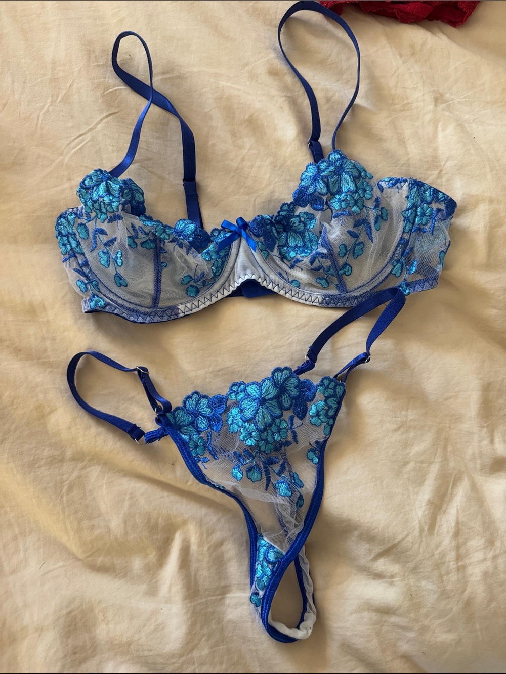 Sheer Blue Floral Embroidered Lingerie Set - Women's Intimates